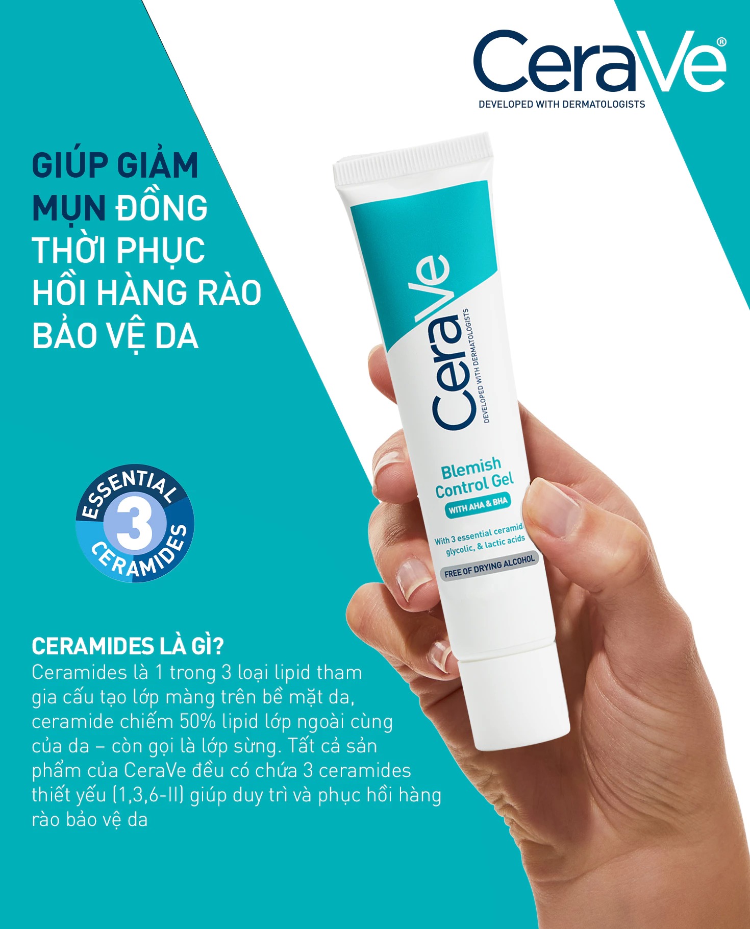 bbx/common/5c176a12-63a9-41f7-89e6-7058908e7b2c.webp bbx/common/5c176a12-63a9-41f7-89e6-7058908e7b2c.webp