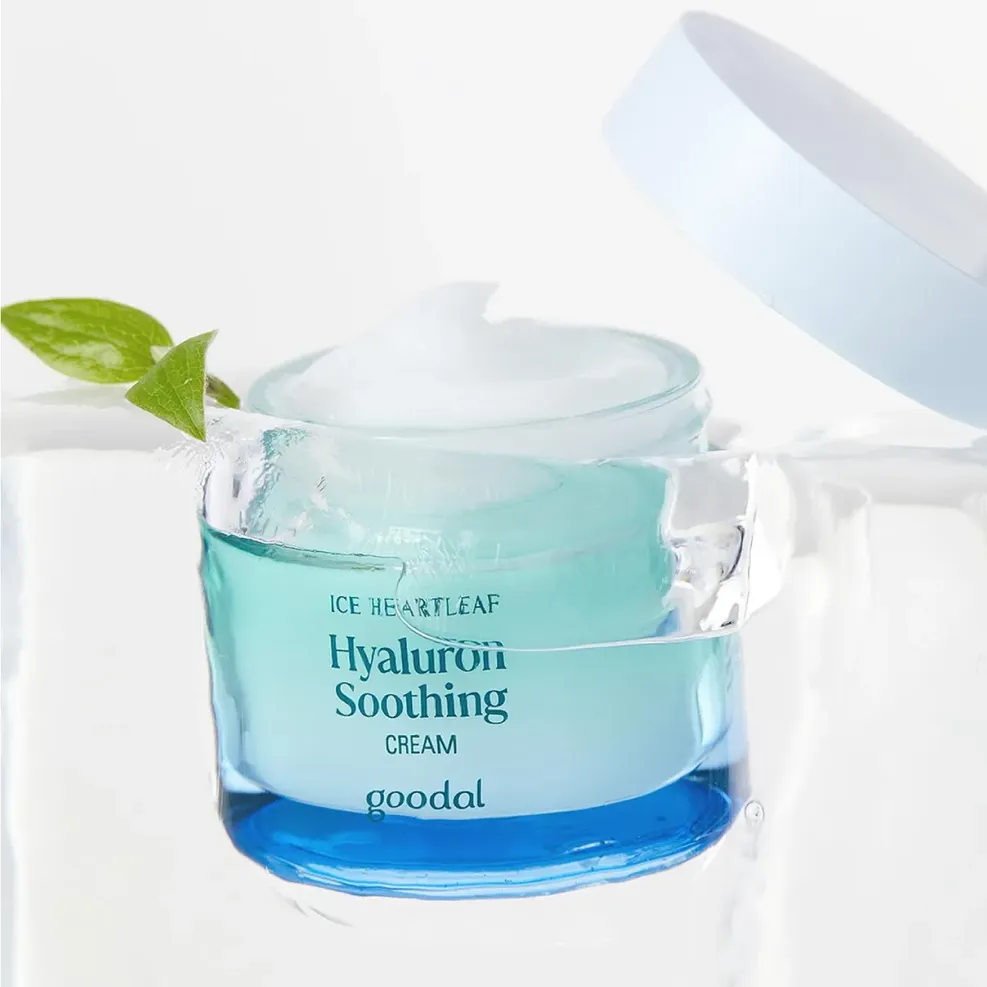 bbx/common/6a0406b5-6b50-4d03-850f-882a31727356.webp bbx/common/6a0406b5-6b50-4d03-850f-882a31727356.webp