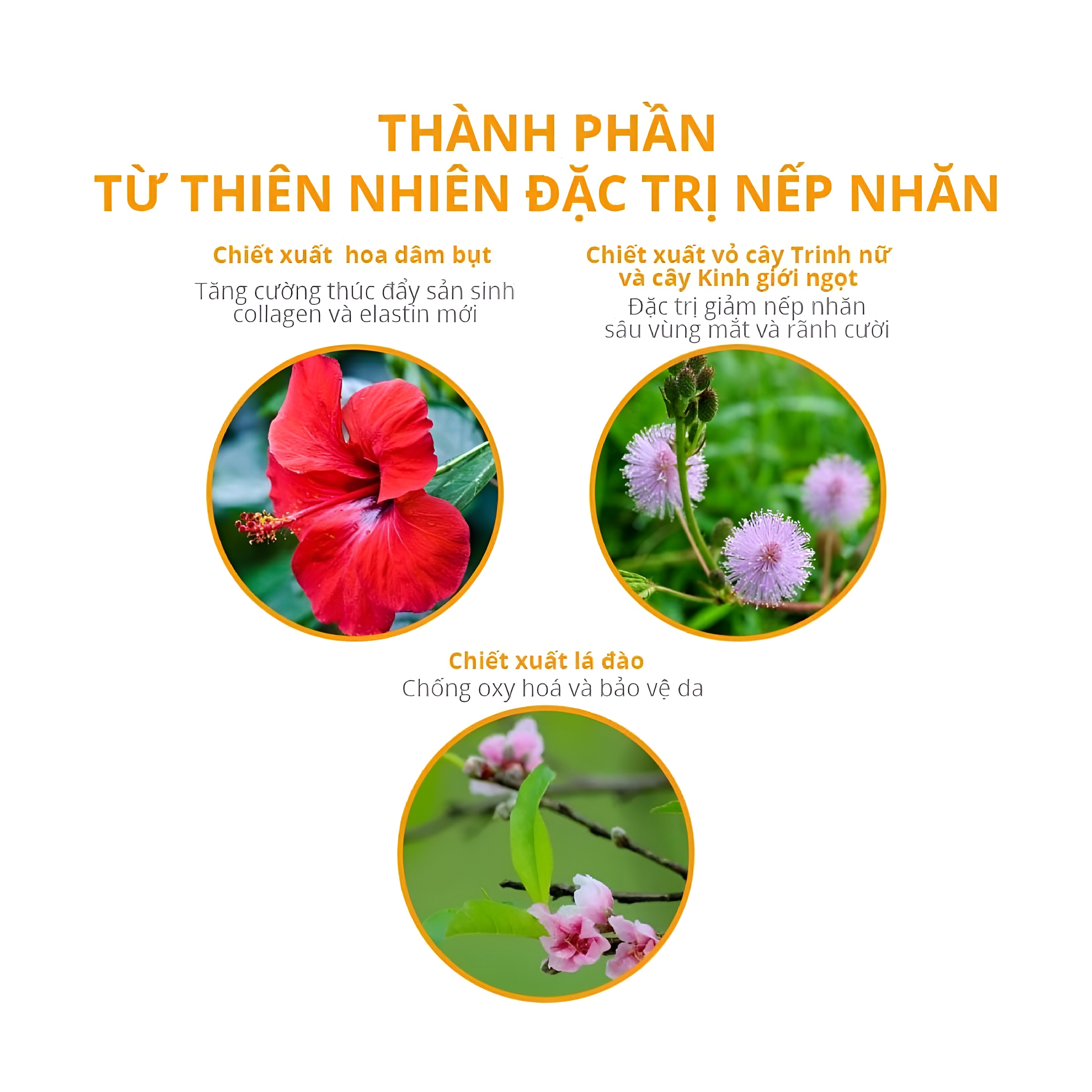 bbx/common/8068237c-bb6e-417d-a669-256bab88d16a.webp bbx/common/8068237c-bb6e-417d-a669-256bab88d16a.webp