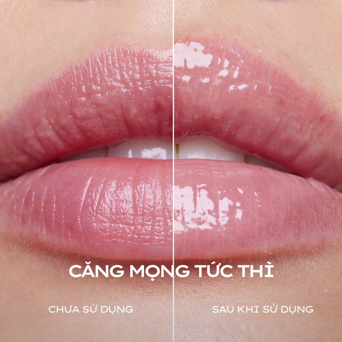 bbx/common/9f7939b4-ee8f-4eae-8b94-50f803ded392.webp bbx/common/9f7939b4-ee8f-4eae-8b94-50f803ded392.webp