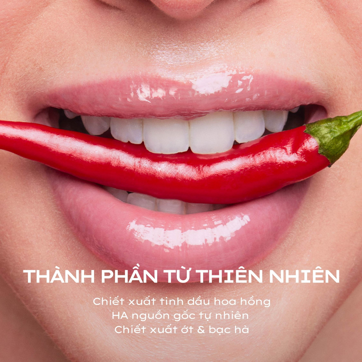 bbx/common/d6fcba1e-8b85-4520-9bc4-fa6ba2ad1ef3.webp bbx/common/d6fcba1e-8b85-4520-9bc4-fa6ba2ad1ef3.webp