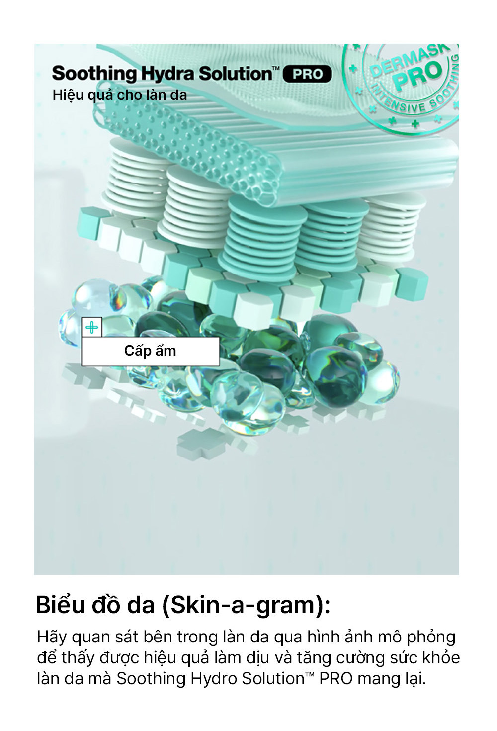 bbx/common/dc45b011-8205-4e13-8a2a-101fc3e800e4.webp
